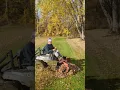 TOP 3 Methods For Leaf Cleanup