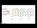 Genetics Worksheet