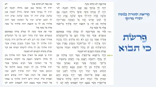 פרשת כי תבוא קריאת התורה בנוסח יהודי מרוקו 