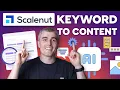 Scalenut Tutorial Turn 1 Keyword Into 20 SEO Content Ideas with AI