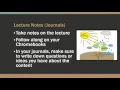 Daily Lesson Plan Photosynthesis