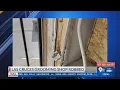 Las Cruces grooming shop robbed GoFundMe page created by employees