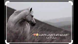 ورجوت عيني ان تكف دموعها  حالات واتساب حزينه      اناشيد عن الفراق بدون موسيقى   ستوريات انستا دندنها