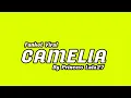 Download Lagu Funkot - Camelia By Princess Lala27