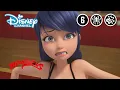 Download Lagu Miraculous | Geheimen Bewaren | Disney Channel NL