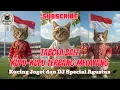Download Lagu 😹 Kucing Lucu Joget DJ Remix Tabola Bale X Kupu-Kupu Terbang Melayang ✨ Bikin Ngakak Auto Repeat!
