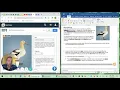 Gizmos Dichotomous Keys