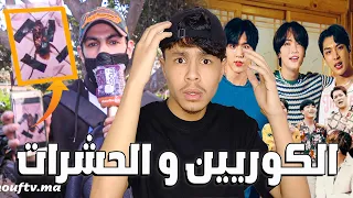الكوريين و   الحشرات    دندنها