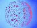 Flawed Mangoes - Palindrome (Official Visualizer)