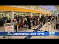 UC Davis Cash Incentive Working As Students Skip Spring Break Travel
