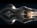 Download Lagu Iniko - God Body (Official Visualizer)
