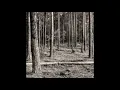 Download Lagu Sin/Zona - Insect