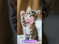 Lagu 😱 Cutest Kitten Ever Sends You A Wish! You Won’t Believe It! 🎤🐾