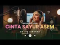 Cinta Sayur Asem – Karaoke | Ine Sinthya | Dangdut Versi Musik India