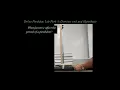 Online Lab Inquiry Pendulum Lab Part 1 - Overview and Hypothesis for Physics Classes