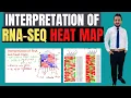 Interpretation of RNA-seq heat maps