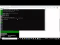 Pinging IP Address