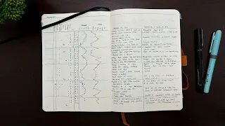 O ÚNICO sistema de ORGANIZAÇÃO que funcionou para mim - O Bullet Journal