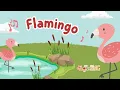 Download Lagu Lagu Flamingo - Burung Cantik Berwarna Merah Jambu | Flonazing