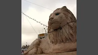 نشرة اخبار  نشرة اخبار