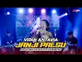 Download Lagu JANJI PALSU - VIDIA ANTAVIA | AB 20 MUSIC ENTERTAINMENT