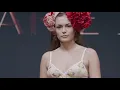 Celebrating 100 years of PrimaDonna and the Daisy Bra