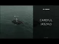 NF, Cordae - CAREFUL (432Hz)