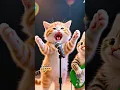 Download Lagu Pok Ame ame Belalang Kupu Kupu Cilukba #kucing #kucinglucu #kucingnyanyi #viralvideo