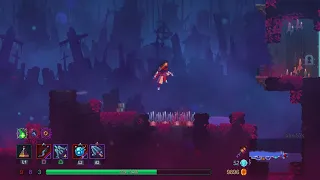 Dead Cells - Architect s Key