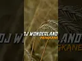 Download Lagu DJ WONDERLAND KANE