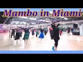 Download Lagu Mambo in Miami (High Beginner)