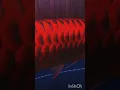 Lagu Amazing Most Beautiful Arowana Arwana Super Red Dragon Fish Cichlid | Falcon Aquarium Services