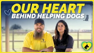Saving Dogs’ Lives Through Expert Dog Training | Tip Top K9 Owasso