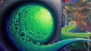 Terence McKenna - Trust Your Intuition