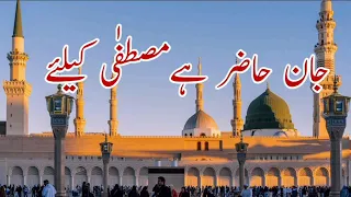 نعت رسول مقبول جان حاضر ہے مصطفی صلی اللہ علیہ وسلم 