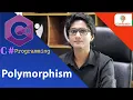 Polymorphism in C C programming language Bangla Tutorial 14