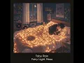 Fairy Light Mess