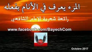 قصيدة المرء يعرف بالأنام بفعله الإمام الشافعي            دندنها