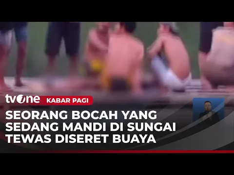 Mandi di Sungai, Bocah Diseret Seekor Buaya Pemangsa