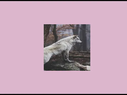 Download MP3 selena gomez // wolves (slowed+reverb)