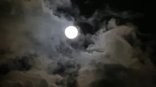 اجمل فيديو حالات واتس ضوء القمر بالليل موسيقى هادئه 