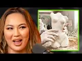 How Much Kazumi Spent On Cosmetic Surgery