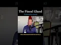 The Pineal Gland Explained by Science - Dr Joe Dispenza