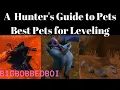 A Hunter s Guide to Pets Best Pets for Leveling WoW Classic Tutorial