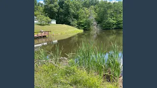 love you better live in the studio 