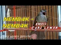 Download Lagu NEMBAK NEMBAK kapas tembak GACOR EMOSI cari lawan.