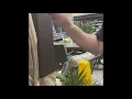 Lowes Gazebo backyard hangouts