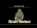 Gelato Cake strain Review 23 THC The Grow Variety Show ep 149