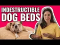 Best Tough Beds for Dogs WE TRIED THEM ALL