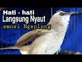 Download Lagu awas langsung Nyaut ikut Bunyi emosi trucukan lain dengan pancingan trucukan gacor Ngeplong ini